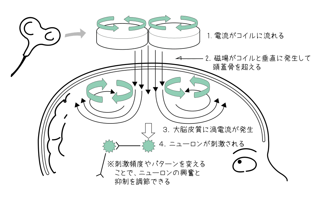 どのように刺激するの？