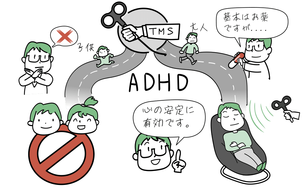 ADHDでのTMS治療の役割をイラストにしました。
