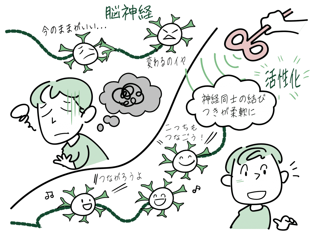 TMS治療と神経可塑性をイラストにしました。