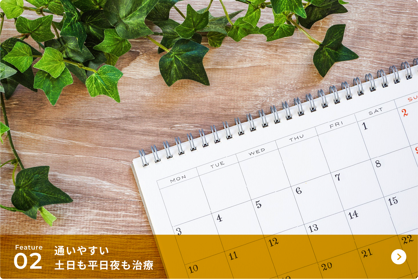 通いやすい土日も平日夜も治療