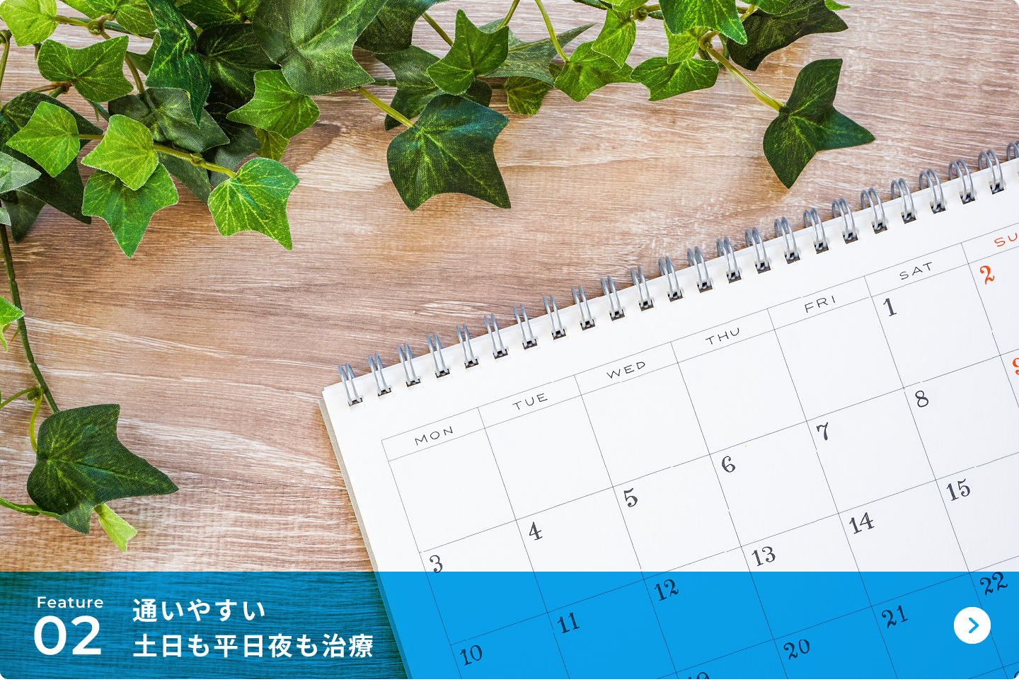 通いやすい土日も平日夜も治療