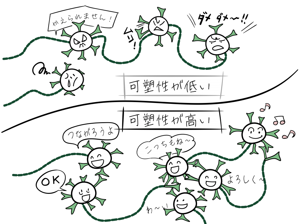 TMS治療による神経可塑性改善効果をイメージにしました。
