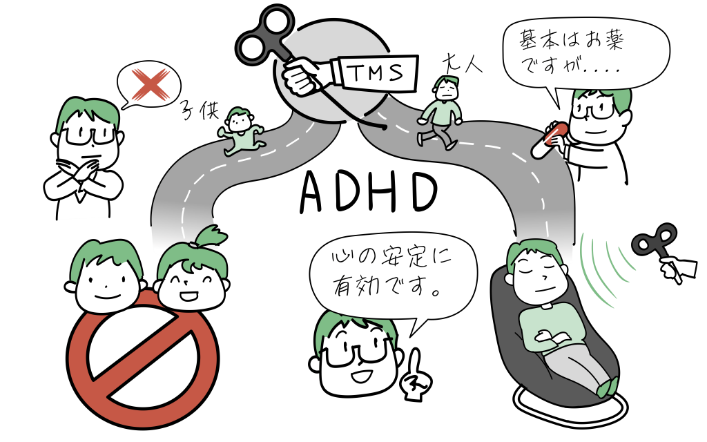 ADHDでのTMS治療の役割をイラストにしました。