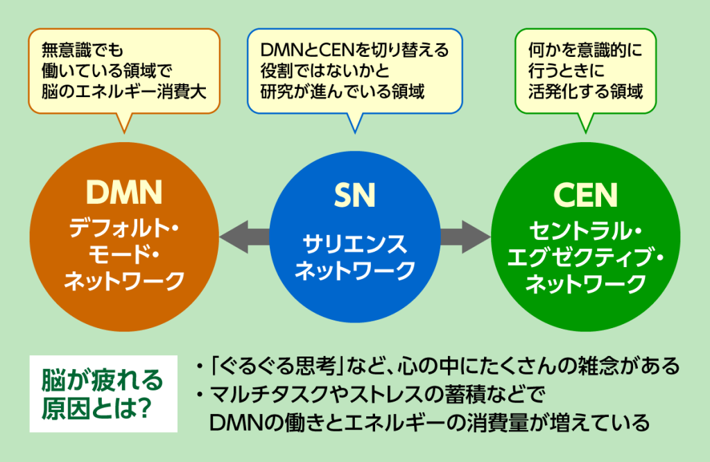 代表的な3つの脳ネットワークをご紹介します。